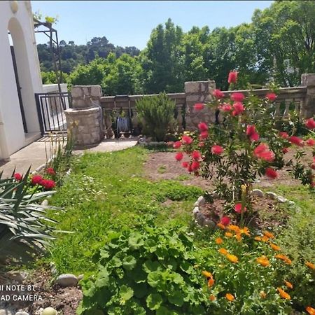 Apartmani Jovanovic Petrovac Ngoại thất bức ảnh