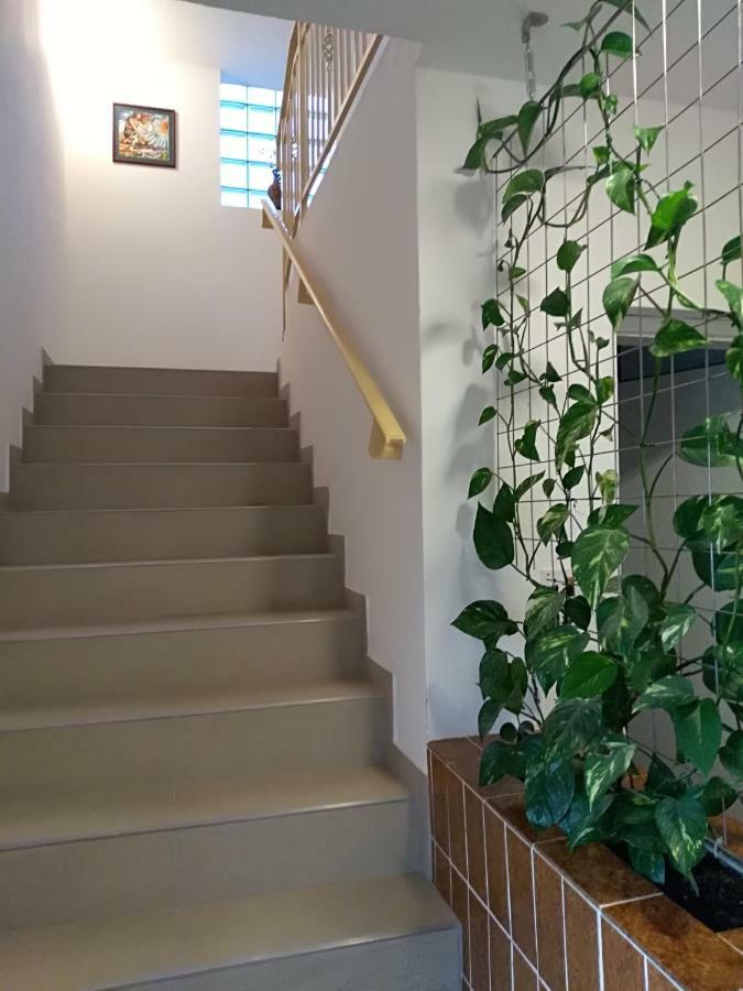 Apartmani Jovanovic Petrovac Ngoại thất bức ảnh